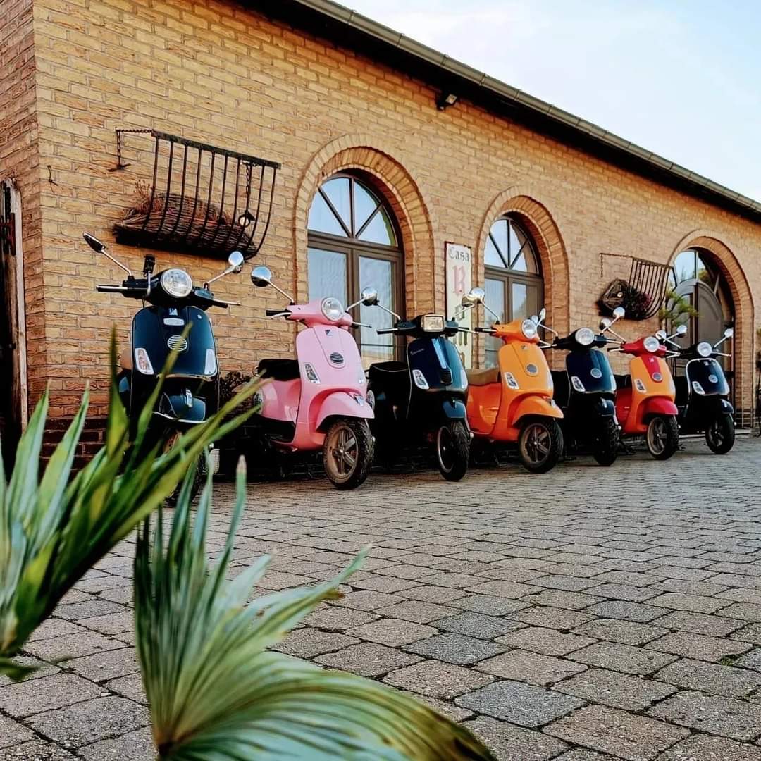 B&B Casa Roman - FIETSEN & VESPA'S 